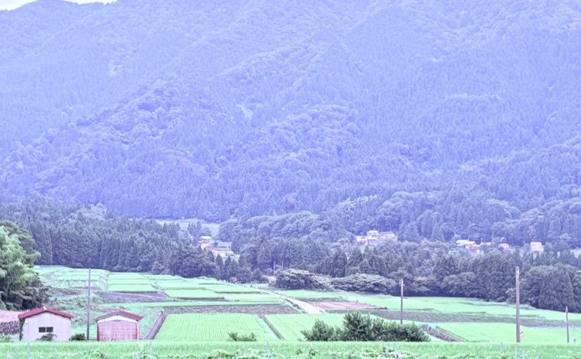 （大野市聖地巡礼）・夏の影 ふるさと感じて欲しい