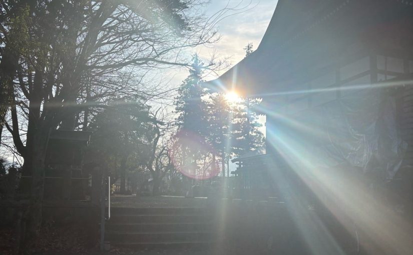 （大野市議会・予算特別委員会）地域循環の促進や費用対効果上がるよう政策提言